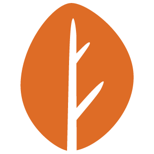 brightfunplace.com favicon